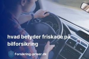 hvad betyder friskade på bilforsikring